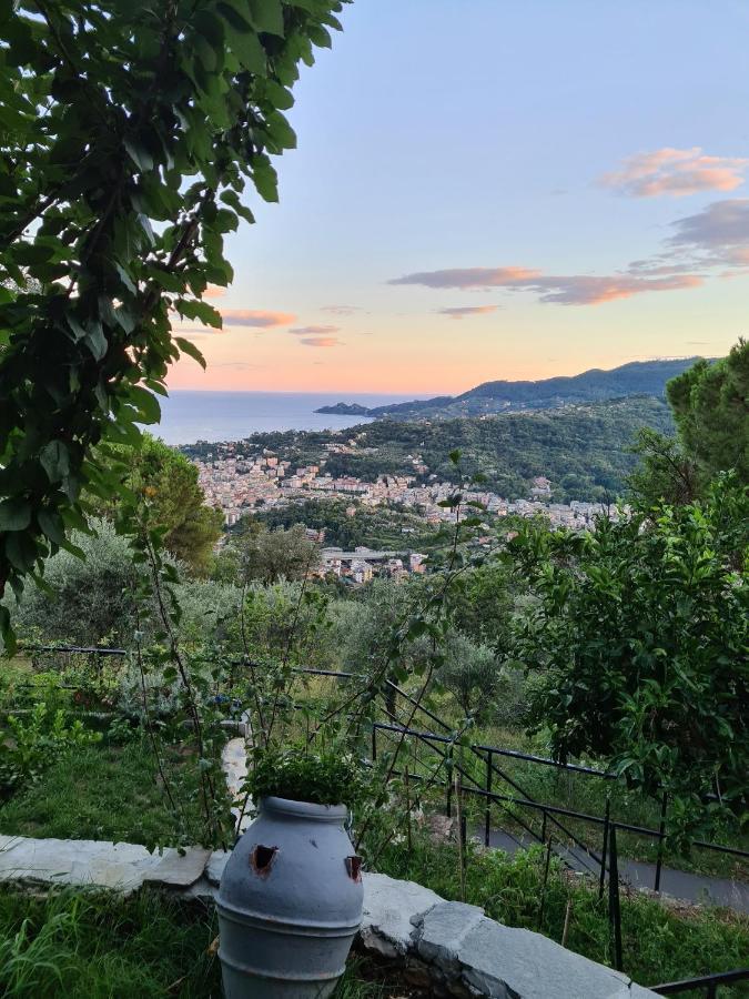 Vista Mare Portofino By Portofinovacanze Gravero Zewnętrze zdjęcie